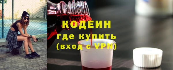 бошки Бородино