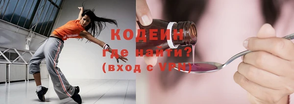 бошки Бородино