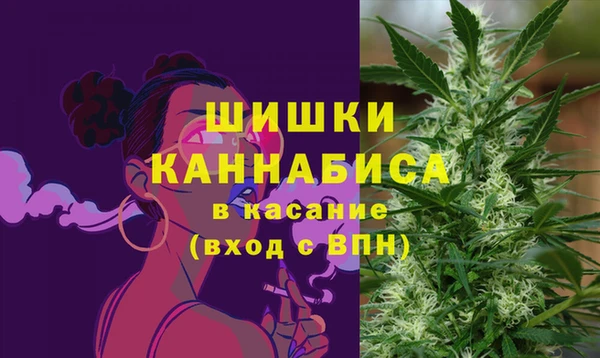 ГАЛЛЮЦИНОГЕННЫЕ ГРИБЫ Верея