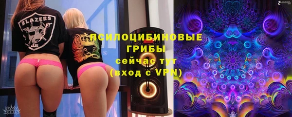 ГАЛЛЮЦИНОГЕННЫЕ ГРИБЫ Верея