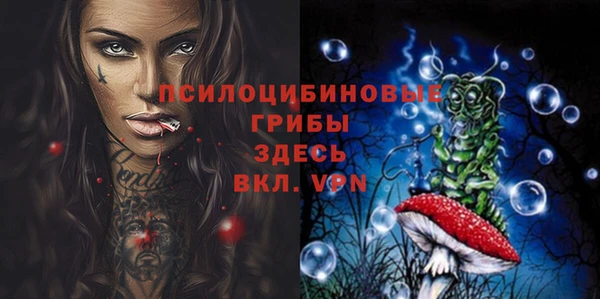 индика Тында
