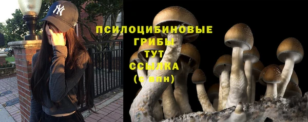 прущие крисы Бронницы