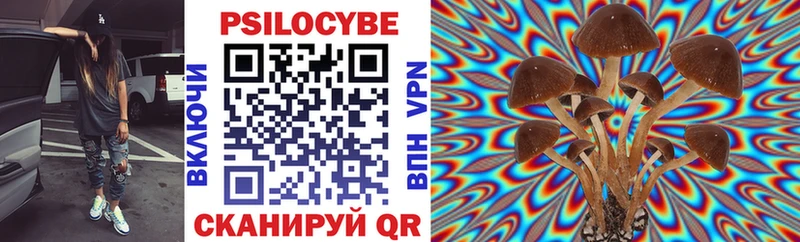 закладка  Карачев  Галлюциногенные грибы Cubensis 